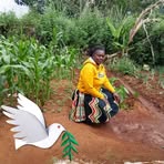 Phyllis Shiru - Facebook