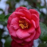 Phyllis Shore - @muh_grand - Instagram