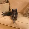 Phyllis Short - @phyllis.short1 - TikTok
