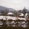 phillissiebert - @phillissiebert - TikTok