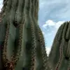 phyllissilas1 - @phyllissilas1 - TikTok
