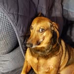 Phyllis Silva - @phyllissilva832 - Instagram