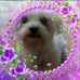Phyllis Slade - Facebook