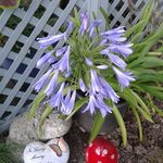 Phyllis Slaughter - @phyllisslaughter1965 - Instagram