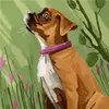 Phyllis Snider - @phyllis.snider - TikTok
