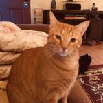 Phyllis Snook - @phyllis.snook.31 - Instagram
