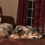 Phyllis Spears - @phyllis.spears.3 - Instagram