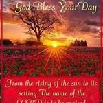 Phyllis Spearman - @phyllisspearman - Instagram