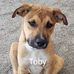 Phyllis Speir - Facebook