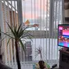 phyllisspringgay - @phyllisspringgay - TikTok