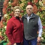 Phyllis Stanfill - @nana_lab - Instagram