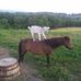 Phyllis Stanley - Facebook
