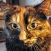 Phyllis Starr - Facebook