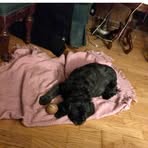 Phyllis Stites - Facebook