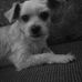 Phyllis Stocklen - Facebook