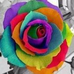 Phyllis Stone - @pms_1956 - Instagram