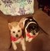 Phyllis Stone - Facebook