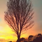 Phyllis Stuckey - Facebook