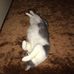 Phyllis Stultz - Facebook