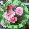 Phyllis Sutherland - @phyllis.sutherlan5 - TikTok