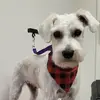 Phillip Swank - @phillip.swank - TikTok