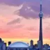 Phyllis Wang - @phyllis.wang - TikTok