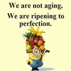Phyllis Teeter - Facebook