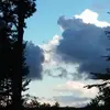 phyllisteetercorm - @phyllisteetercorm - TikTok