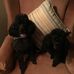 Phyllis Carol Tincher - Facebook