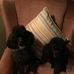 Phyllis Tincher - Facebook