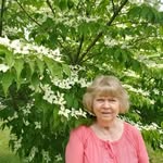 @phyllisungerhughes - Instagram