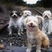 Phyllis D Upton - Facebook