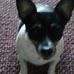 Phyllis Upton - Facebook