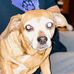 Phyllis Upton - Facebook