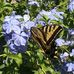 Phyllis Sadowski Valencia - Facebook