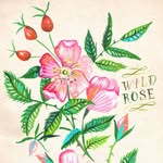 Phyllis Wade - @oldyady - Instagram