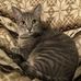 Phyllis Warden - Facebook