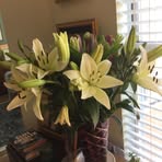 Phyllis Wertz - Facebook
