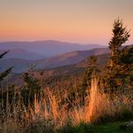 Phyllis Whitman Hunter - @phylliswh74 - Instagram