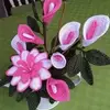 Phyllis Wickhem - @phyllis.wickhem - TikTok