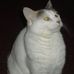 Phyllis Wilhelm - Facebook