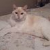 Phyllis Wills - Facebook