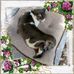 Phyllis Winans - Facebook