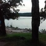 Phyllis Wood - @phyllis.wood.1420 - Instagram