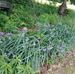 Phyllis Wooten - Facebook