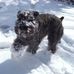 Phyllis Workman - Facebook