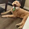 Phyllis Wright - @phyllis.wright56 - TikTok