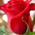 Phyllis Yates - Facebook