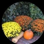 Phyllis Yates Kent - @poxosa6224 - Instagram