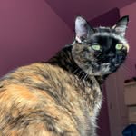 Pia Davis - @pia_aka_mamas - Instagram